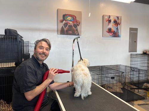 picture of Theo Montrose, owner of PetSpa