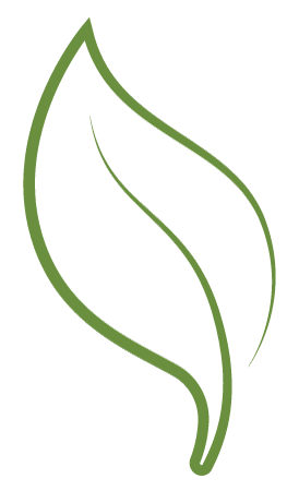 upright leaf