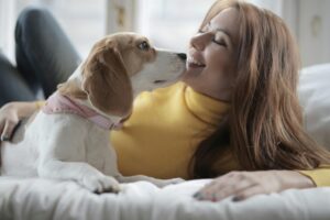 beagle and lady