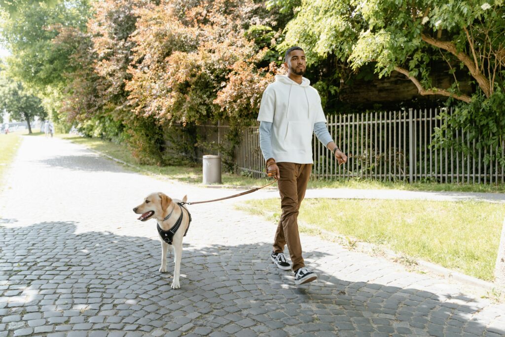 a man is walking dog in a park